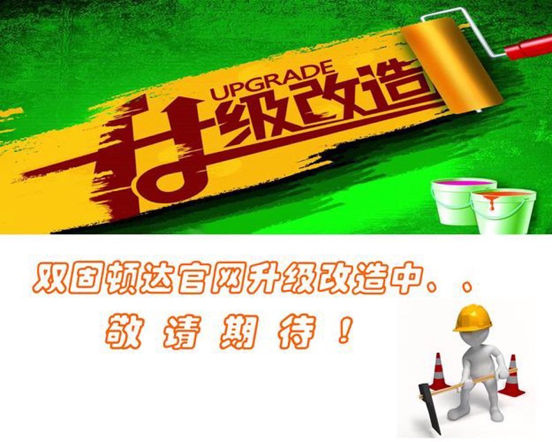 互联网时代的桥梁——上海网站建设行业的风云变幻